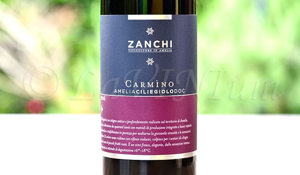 Amelia Ciliegiolo Carmìno 2016 Zanchi