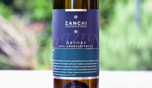 Amelia Grechetto Arvore 2017 Zanchi