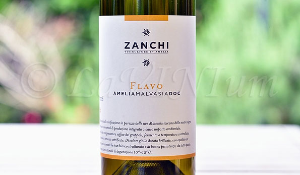 Amelia Malvasia Flavo 2016 Zanchi