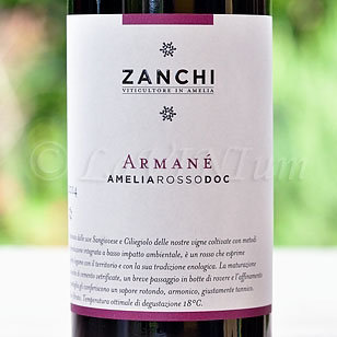 Amelia Rosso Armané 2014 Zanchi