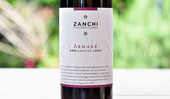 Amelia Rosso Armané 2014 Zanchi