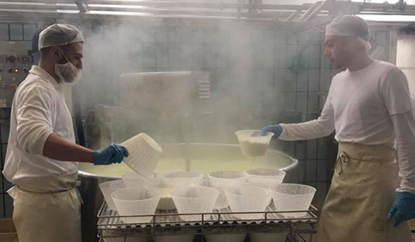 Preprazione dello squacquerone