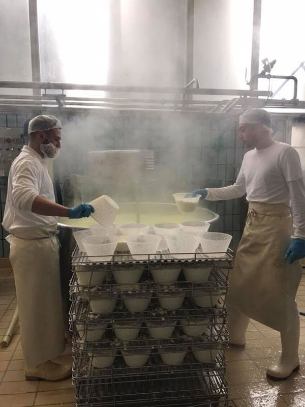 La lavorazione del formaggio presso l'azienda Comellini
