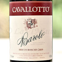 Barolo Bricco Boschis 2009 Cavallotto