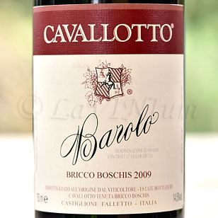 Barolo Bricco Boschis 2009 Cavallotto