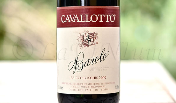 Barolo Bricco Boschis 2009 Cavallotto