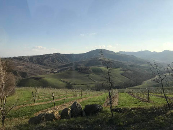 Colline e vigneti intorno a Castel San Pietro