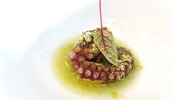 Polpo e acqua di sedano