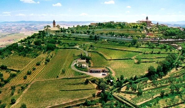 Azienda vinicola Tiezzi a Montalcino