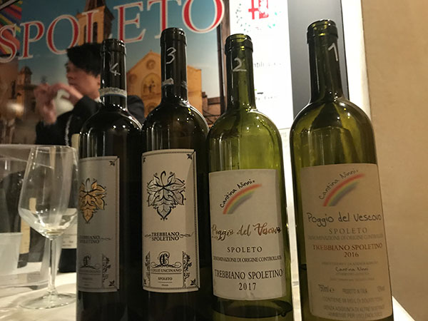 Cantine Ninni e Colle Uncinato