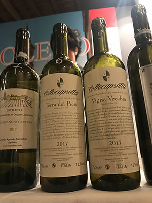 Vini Collecapretta