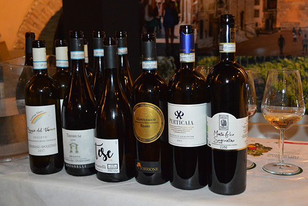 I vini in degustazione con Giampiero Pulcini