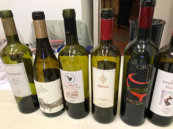 I vini di Rosso Calabria