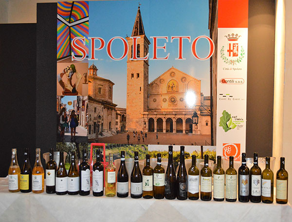 I vini della degustsazione guidata da Jacopo Cossater