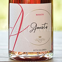 Amistà Rosato 2017 Val di Neto