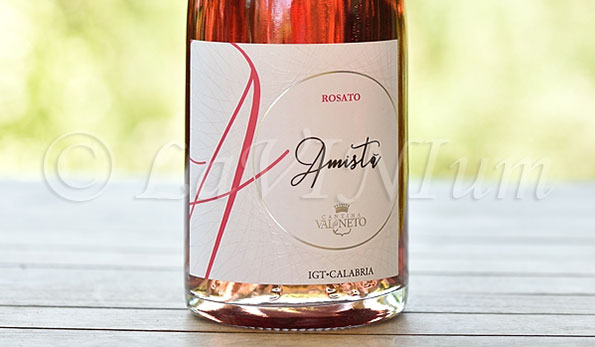 Amistà Rosato 2017 Val di Neto