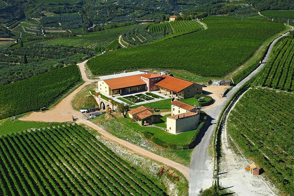 Tenuta Sant'Antonio