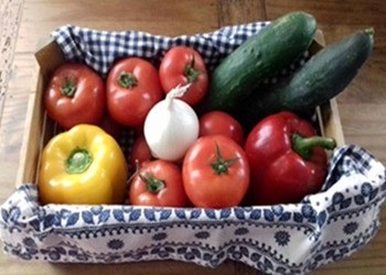 ingredienti per il gazpacho