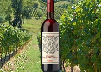 Grignolino del Monferrato Casalese ”Gaudio”