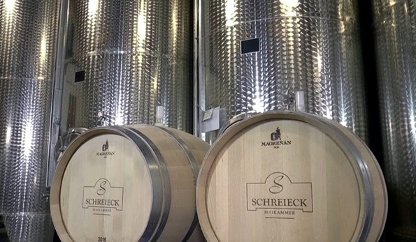 botti di legno e vasche d'acciaio