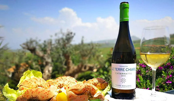 Catarratto 2016 Le Terre Chiare