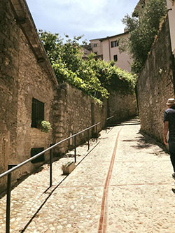 Vigneti nel centro storico