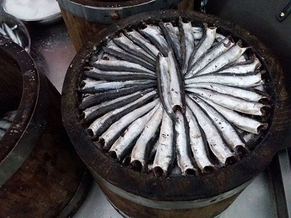 La chiusura del terzigno