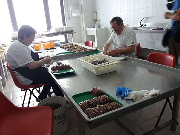 La lavorazione delle alici per i filetti