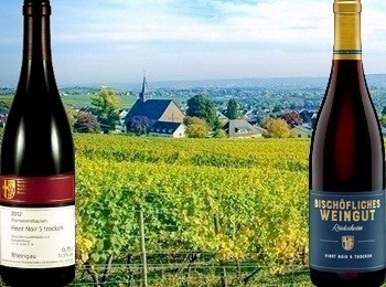 Rüdesheim Pinot Noir S trocken 2012 Bischöfliches Weingut Rüdesheim