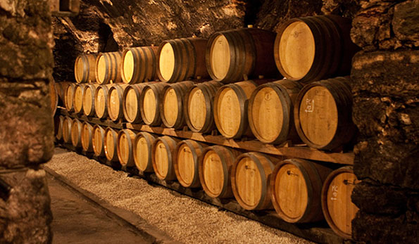 Cantina Foradori