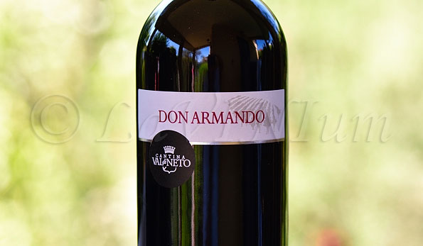 Melissa Rosso Don Armando 2017 Val di Neto