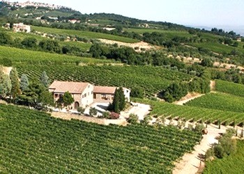 Azienda Palazzo a Montalcino