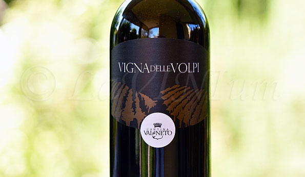 Vigna delle Volpi Rosso 2017 Val di Neto