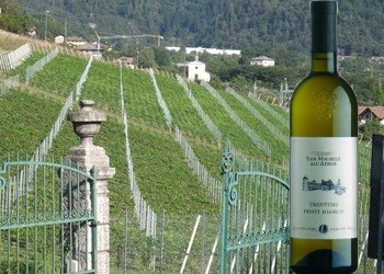 Trentino Pinot Bianco 2017 Istituto San Michele All'Adige