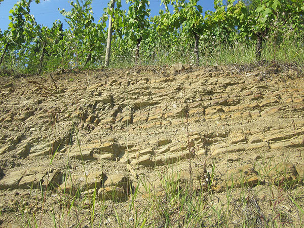 la caratteristica ponka