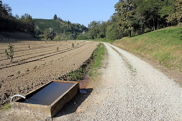 Il Sentiero del Trifolao