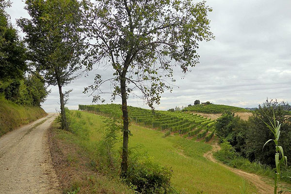 Sentiero Livio Venturino