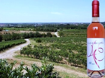 Rosato Alfieri Cantarutti