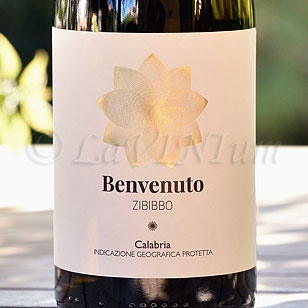 Benvenuto Zibibbo 2016 Cantine Benvenuto