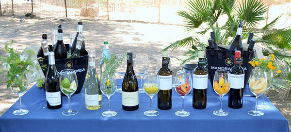 etichette in degustazione guidata nella Pineta Pelella