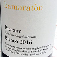 Kamaratòn 2016 Silva Plantariuim