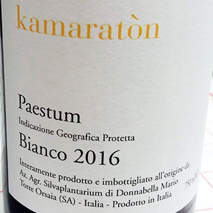 Kamaratòn 2016 Silva Plantarium