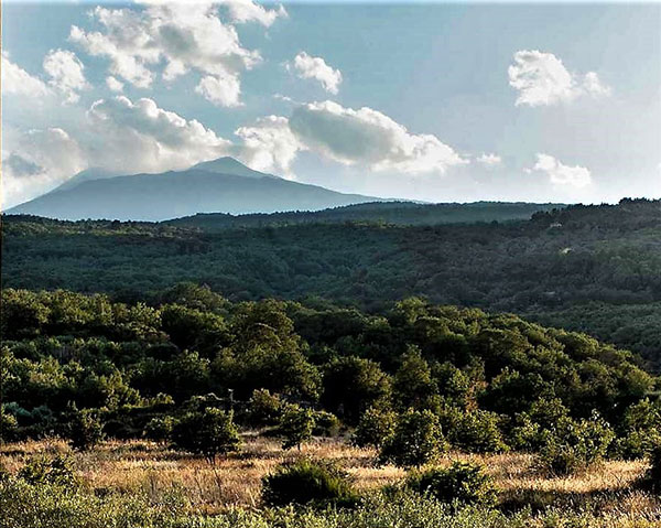 L'Etna da Villa Neri