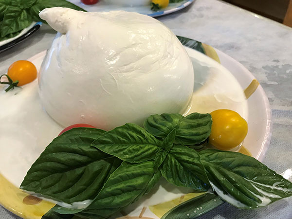 La Zizzona di Battipaglia