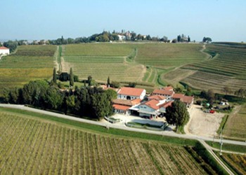 vitigni azienda Conti d'Attimis Maniago