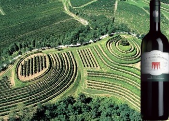 Malvasia dei Colli Orientali del Friuli 2013 del Conte d’Attimis - Maniago