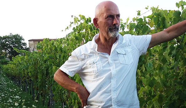 Mario Donnabella nella sua vigna