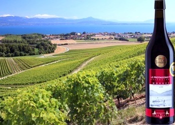 La Côte AOC Morges ”Le protagoniste” assemblage rouge 2016 Domaine de la Ville