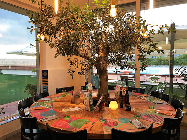 tavolo con ulivo al centro