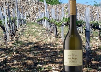 ”Úrágya” Furmint 2015 Szepsy Pince